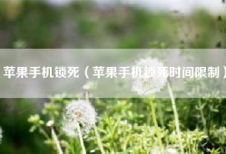 苹果手机锁死（苹果手机锁死时间限制）