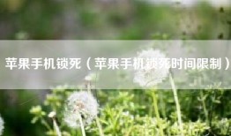 苹果手机锁死（苹果手机锁死时间限制）