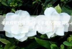 手机应用安装到sd卡（手机应用安装在sd卡上）