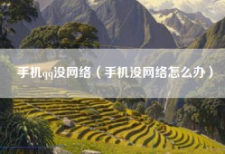 手机qq没网络（手机没网络怎么办）