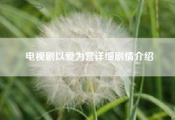 电视剧以爱为营详细剧情介绍