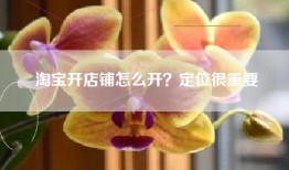 淘宝开店铺怎么开？定位很重要