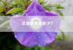 非遗数据知多少？