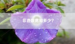 非遗数据知多少？