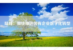 陆峰：加快推进国有企业数字化转型