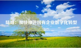 陆峰：加快推进国有企业数字化转型