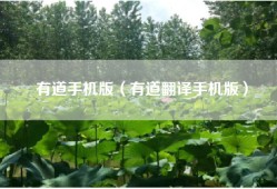 有道手机版（有道翻译手机版）
