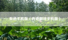 有道手机版（有道翻译手机版）