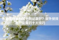 外贸电商平台哪个网站最好？做外贸找客户资源的十大技巧