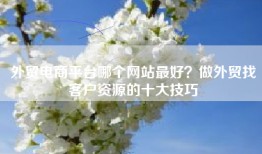 外贸电商平台哪个网站最好？做外贸找客户资源的十大技巧