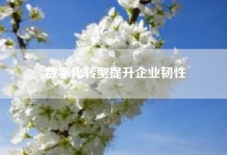 数字化转型提升企业韧性