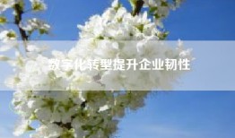 数字化转型提升企业韧性