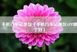 手机行车记录仪（手机行车记录仪APP哪个好）