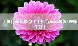手机行车记录仪（手机行车记录仪APP哪个好）
