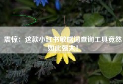 震惊：这款小红书敏感词查询工具竟然如此强大！
