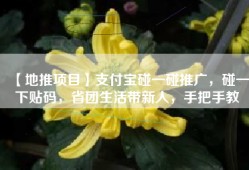 【地推项目】支付宝碰一碰推广，碰一下贴码，省团生活带新人，手把手教