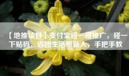 【地推项目】支付宝碰一碰推广，碰一下贴码，省团生活带新人，手把手教