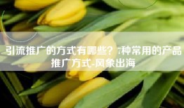 引流推广的方式有哪些？7种常用的产品推广方式-风象出海