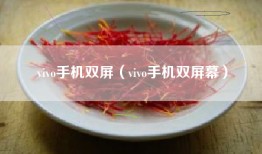 vivo手机双屏（vivo手机双屏幕）