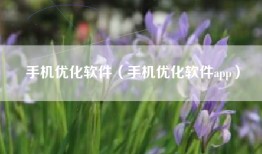 手机优化软件（手机优化软件app）