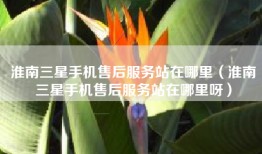 淮南三星手机售后服务站在哪里（淮南三星手机售后服务站在哪里呀）