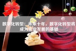 数字化转型：未来十年，数字化转型将成为企业发展的基础