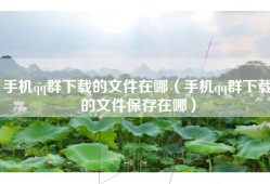 手机qq群下载的文件在哪（手机qq群下载的文件保存在哪）