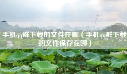 手机qq群下载的文件在哪（手机qq群下载的文件保存在哪）