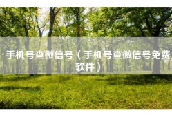 手机号查微信号（手机号查微信号免费软件）