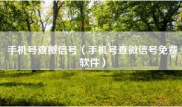 手机号查微信号（手机号查微信号免费软件）