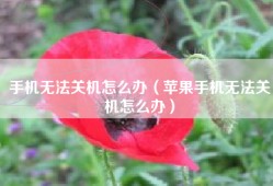 手机无法关机怎么办（苹果手机无法关机怎么办）