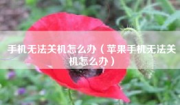 手机无法关机怎么办（苹果手机无法关机怎么办）