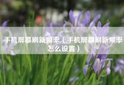 手机屏幕刷新频率（手机屏幕刷新频率怎么设置）