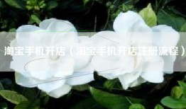 淘宝手机开店（淘宝手机开店注册流程）