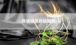 传统技艺包括哪些