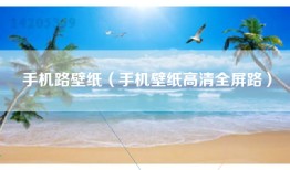 手机路壁纸（手机壁纸高清全屏路）