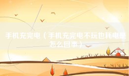 手机充完电（手机充完电不玩也耗电是怎么回事）