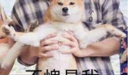 哪个招聘平台比较好？