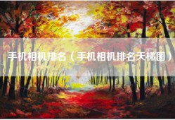 手机相机排名（手机相机排名天梯图）