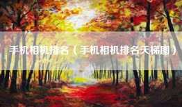 手机相机排名（手机相机排名天梯图）