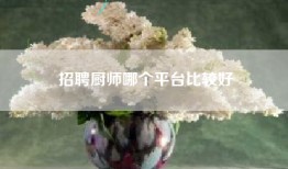 招聘厨师哪个平台比较好