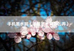 手机墨水屏（手机墨水屏怎么弄）