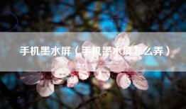 手机墨水屏（手机墨水屏怎么弄）