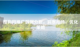 搜狗网推广数据分析，洞察市场，优化策略