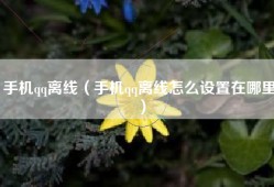 手机qq离线（手机qq离线怎么设置在哪里）