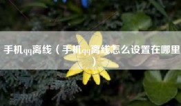 手机qq离线（手机qq离线怎么设置在哪里）