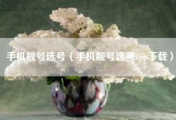 手机靓号选号（手机靓号选号app下载）