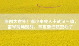原创太意外！曝小米或入主武汉三镇，雷军现场观战，韦世豪任航安心了