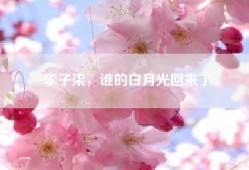 李子柒，谁的白月光回来了