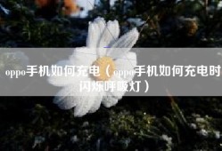 oppo手机如何充电（oppo手机如何充电时闪烁呼吸灯）